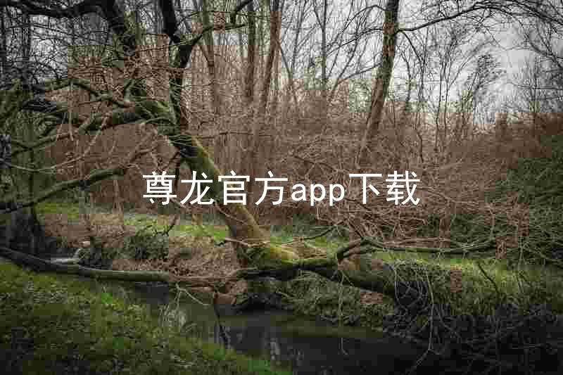 尊龙官方app下载