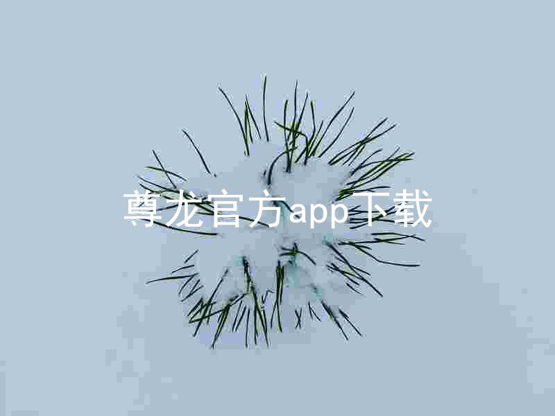 尊龙官方app下载