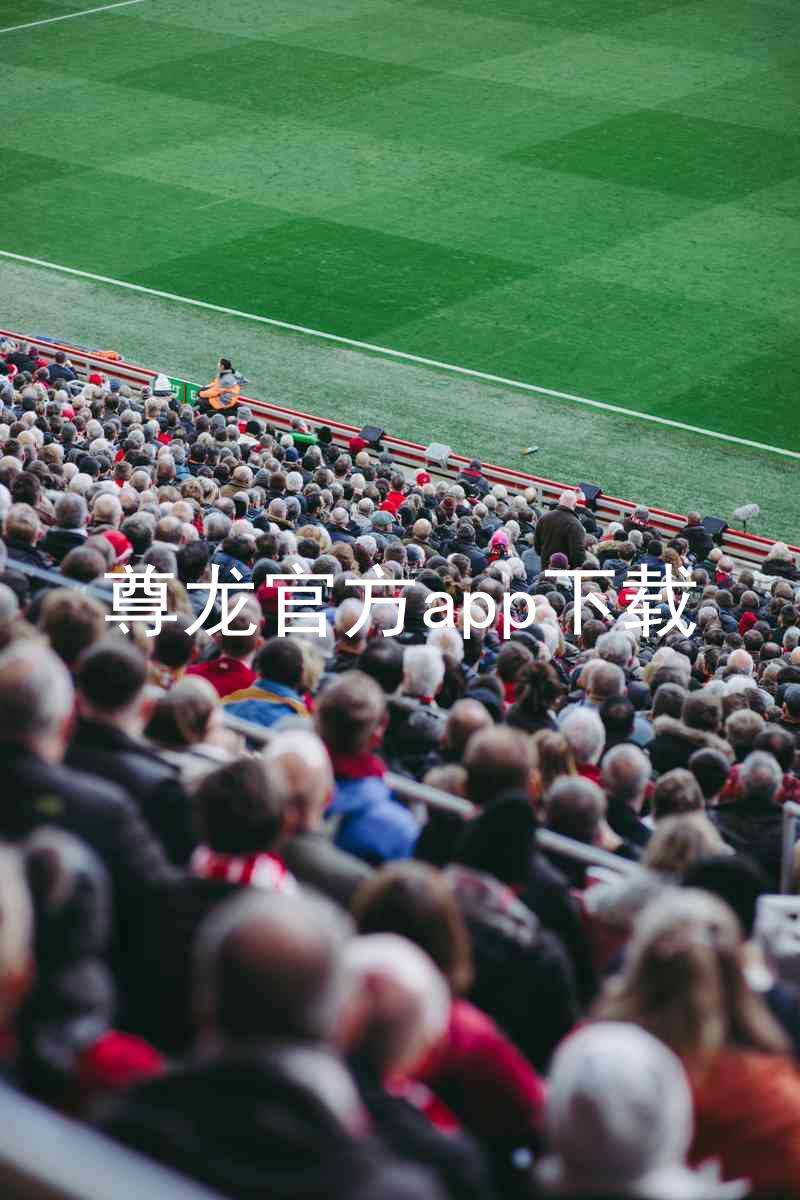 尊龙官方app下载