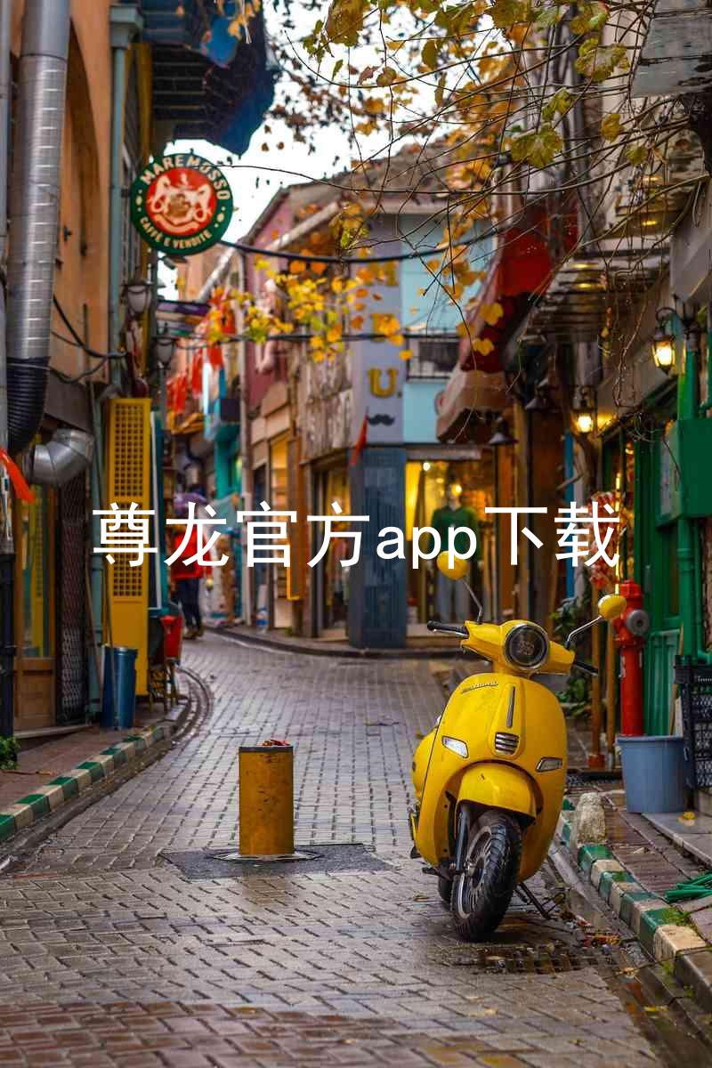 尊龙官方app下载