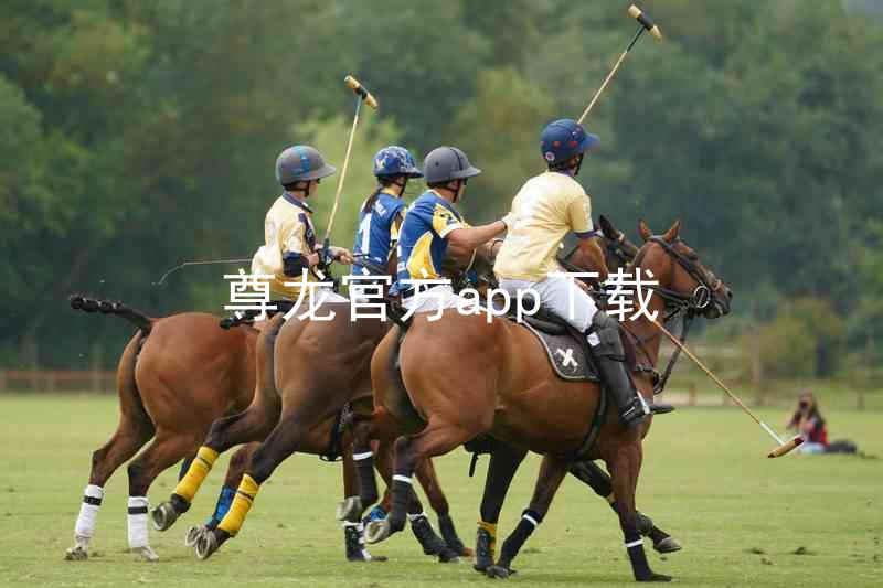 尊龙官方app下载