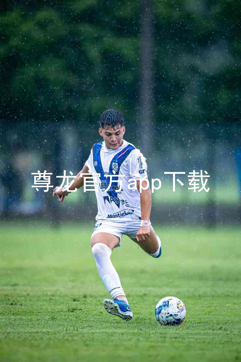 尊龙官方app下载